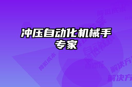 沖壓自動化機(jī)械手專家