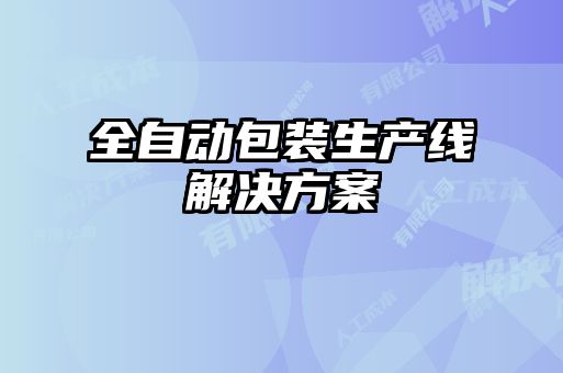 全自動包裝生產(chǎn)線解決方案