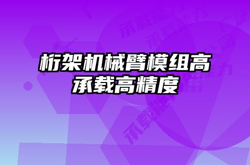 桁架機械臂模組高承載高精度