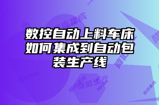 數(shù)控自動(dòng)上料車(chē)床如何集成到自動(dòng)包裝生產(chǎn)線