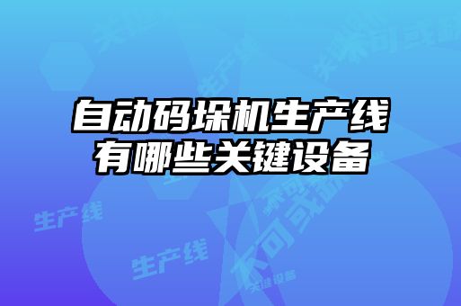 自動碼垛機生產(chǎn)線有哪些關鍵設備