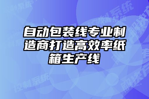 自動包裝線專業(yè)制造商打造高效率紙箱生產(chǎn)線