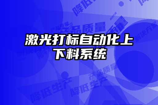 激光打標(biāo)自動化上下料系統(tǒng)